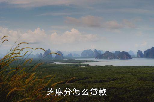 芝麻分怎么貸款