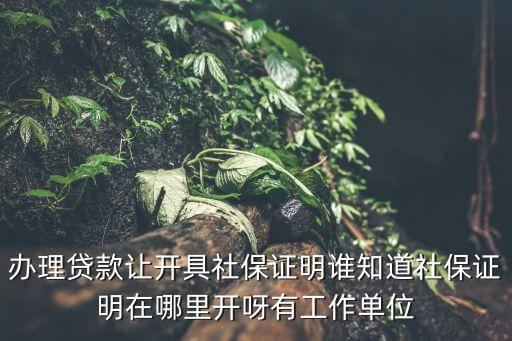 辦理貸款讓開具社保證明誰知道社保證明在哪里開呀有工作單位
