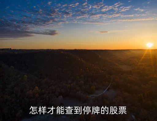 怎樣才能查到停牌的股票