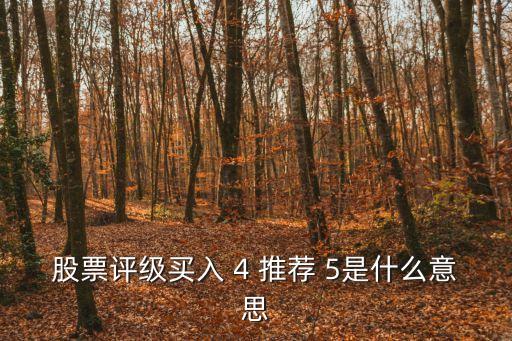 股票評級買入 4 推薦 5是什么意思