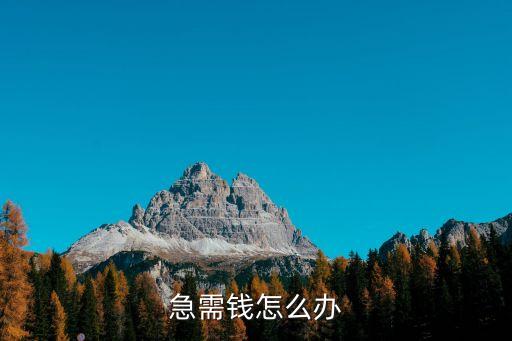 急需錢怎么辦