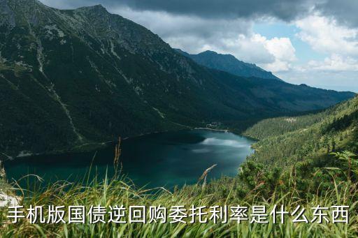 手機(jī)怎么逆回購(gòu)，手機(jī)版國(guó)債逆回購(gòu)委托利率是什么東西