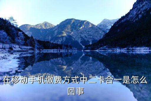 在移動(dòng)手機(jī)繳費(fèi)方式中二卡合一是怎么回事