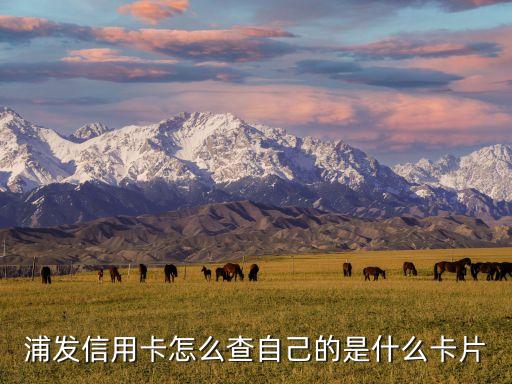浦發(fā)信用卡怎么查自己的是什么卡片