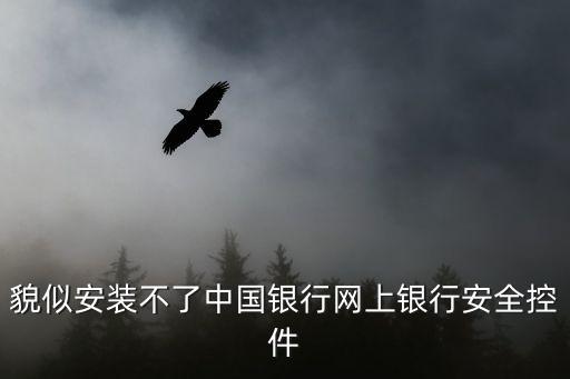 貌似安裝不了中國銀行網(wǎng)上銀行安全控件