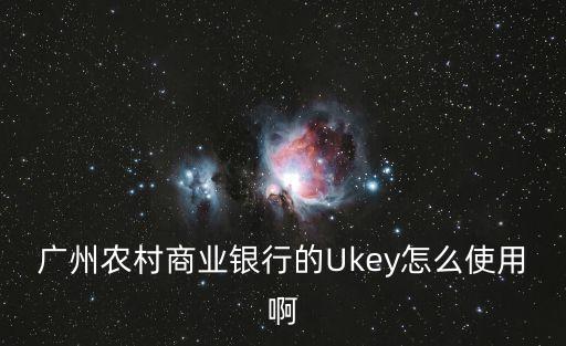 廣州農(nóng)村商業(yè)銀行的Ukey怎么使用啊