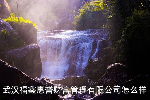 武漢福鑫惠譽(yù)財(cái)富管理有限公司怎么樣