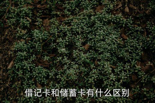 怎么區(qū)分是借記卡還是儲(chǔ)蓄卡，借記卡和儲(chǔ)蓄卡有什么區(qū)別