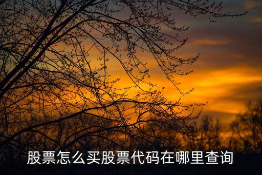 怎么查詢證券代碼，查詢證券代碼的方式