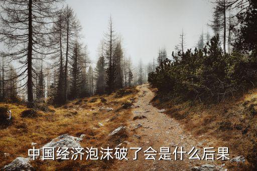 中國經(jīng)濟泡沫破了會是什么后果