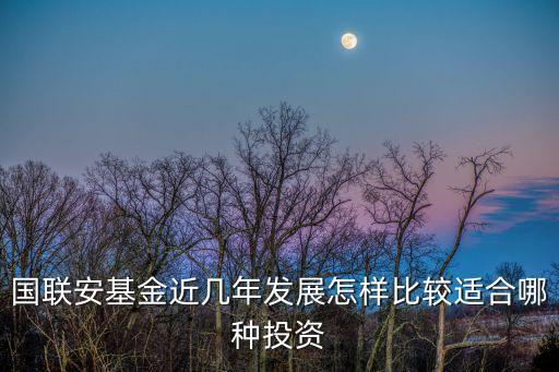 國聯(lián)安基金近幾年發(fā)展怎樣比較適合哪種投資