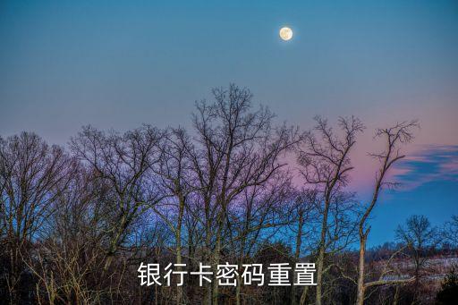 銀行卡密碼重置
