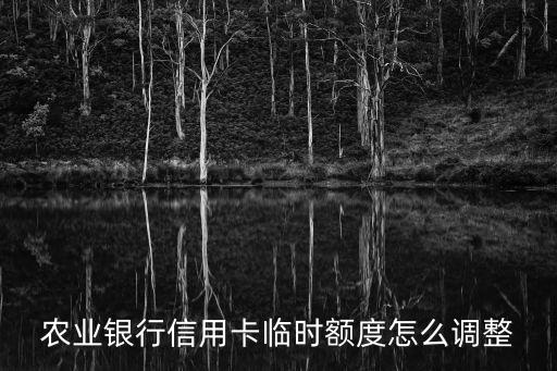 銀行般怎么調(diào)臨額，怎么自助申請臨額