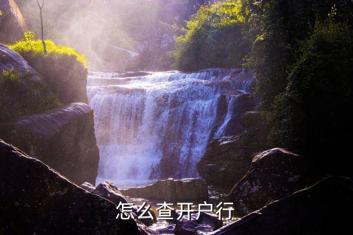 網(wǎng)上怎么查開(kāi)戶行，怎么查開(kāi)戶行