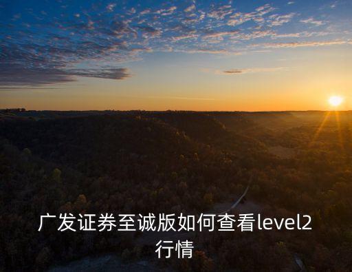 廣發(fā)證券怎么看期貨，廣發(fā)證券至誠版如何查看level2行情