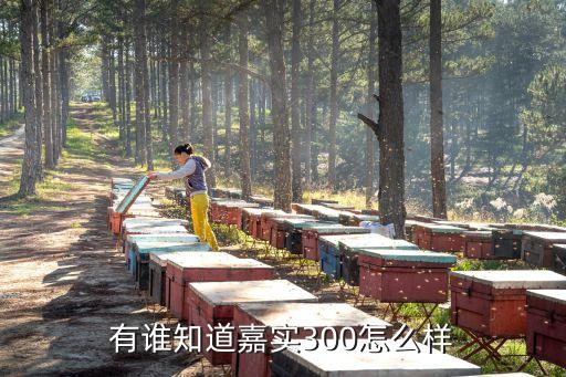 嘉實300怎么樣，我想問問基金嘉實300怎么樣
