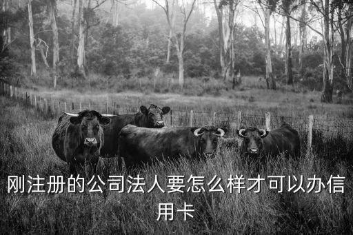 剛注冊的公司法人要怎么樣才可以辦信用卡