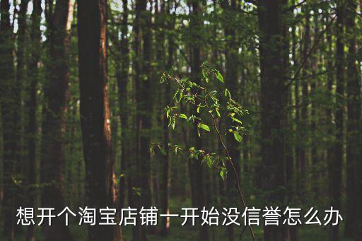 2015年店鋪零信譽應(yīng)該怎么做起來，怎樣就能讓0信譽的淘寶店鋪快速升級呢不要花錢刷信譽的啊  搜
