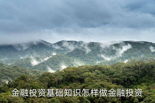 融資投資理財(cái)怎么做，金融投資基礎(chǔ)知識(shí)怎樣做金融投資