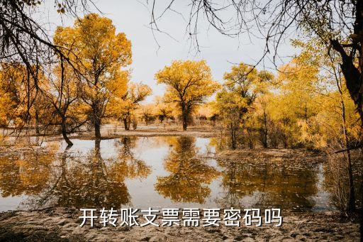 開轉(zhuǎn)賬支票需要密碼嗎