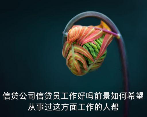 在利信做信貸員怎么樣，信貸公司信貸員工作好嗎前景如何希望從事過(guò)這方面工作的人幫