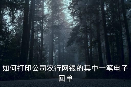 如何打印公司農(nóng)行網(wǎng)銀的其中一筆電子回單