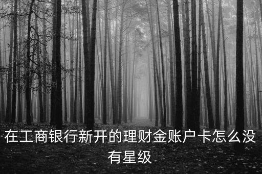 在工商銀行新開的理財(cái)金賬戶卡怎么沒有星級(jí)