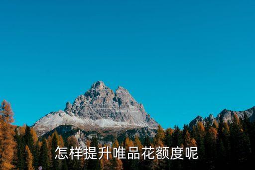 唯品會(huì)額度怎么申請，建行唯品會(huì)信用卡怎么升級(jí)額度