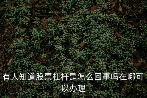 有人知道股票杠桿是怎么回事嗎在哪可以辦理