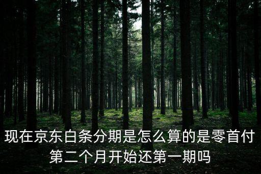 現(xiàn)在京東白條分期是怎么算的是零首付第二個月開始還第一期嗎