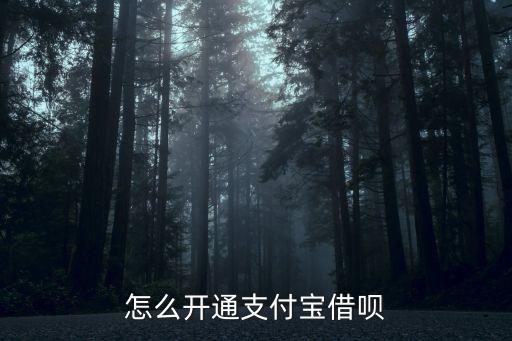 螞蟻借唄怎么操作，支付寶的螞蟻借唄要怎么弄