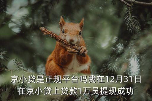 京小貸是正規(guī)平臺(tái)嗎我在12月31日在京小貸上貸款1萬(wàn)員提現(xiàn)成功