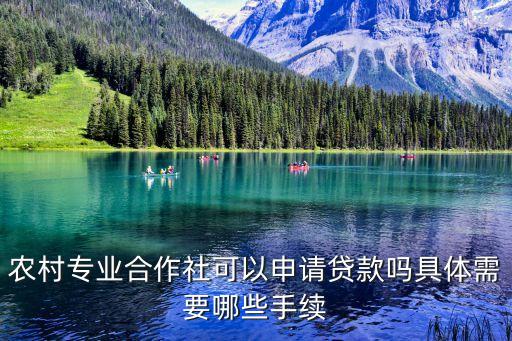 農(nóng)村專業(yè)合作社可以申請貸款嗎具體需要哪些手續(xù)