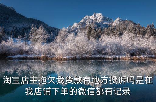 淘寶店主拖欠我貨款有地方投訴嗎是在我店鋪下單的微信都有記錄