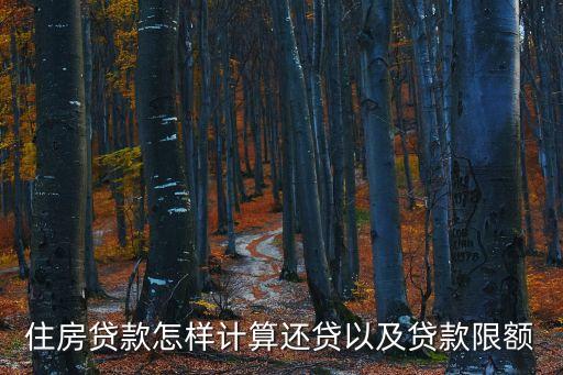 住房貸款怎樣計算還貸以及貸款限額