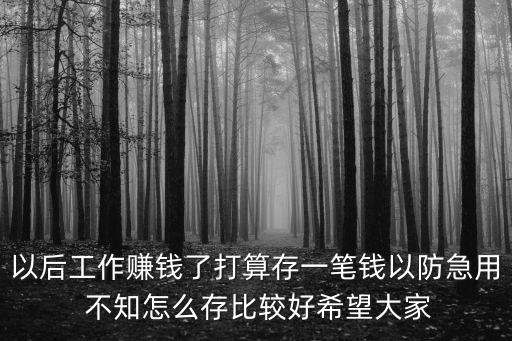 一筆錢怎么存，以后工作賺錢了打算存一筆錢以防急用 不知怎么存比較好希望大家