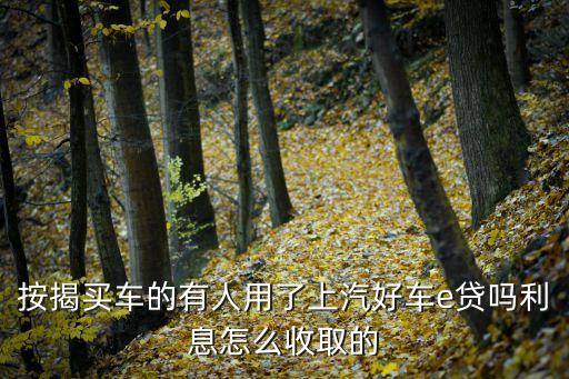 按揭買車的有人用了上汽好車e貸嗎利息怎么收取的
