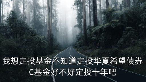 我想定投基金不知道定投華夏希望債券C基金好不好定投十年吧