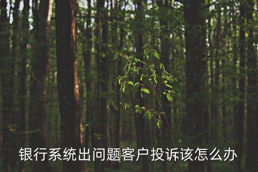 銀行系統(tǒng)出問題客戶投訴該怎么辦
