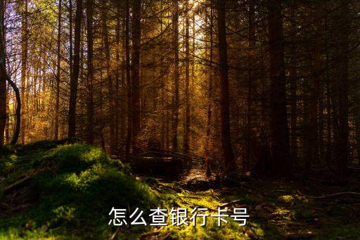 我想查銀行卡號怎么查詢，怎么查銀行卡卡號