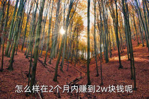 怎么樣在2個(gè)月內(nèi)賺到2w塊錢呢