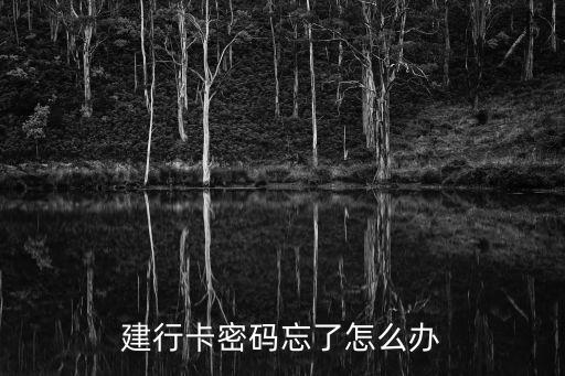 建行卡密碼忘了怎么辦