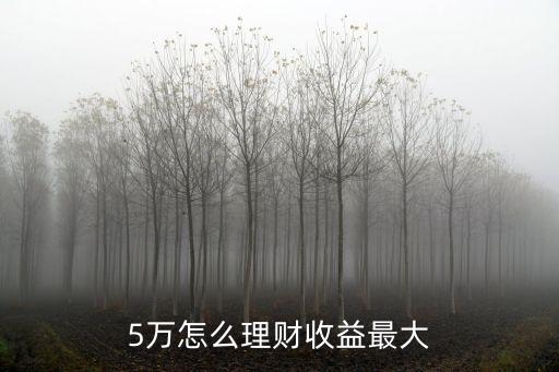 5萬怎么理財收益最大