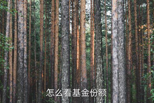 基金怎么看份額，基金份額在哪里看