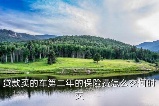貸款買的車第二年的保險費怎么交何時交