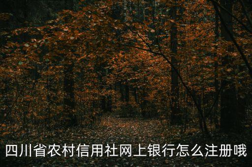四川農(nóng)信怎么注冊(cè)，四川農(nóng)村信用社如何開(kāi)通個(gè)人銀行