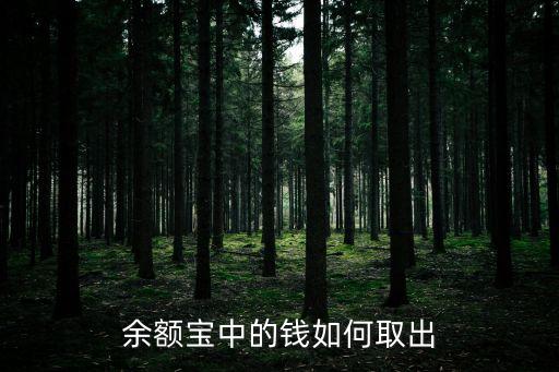 余額寶錢怎么轉(zhuǎn)出，余額寶里的錢怎么轉(zhuǎn)出來