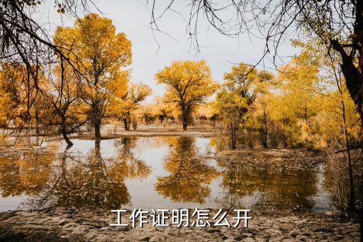 工作證明怎么開(kāi)