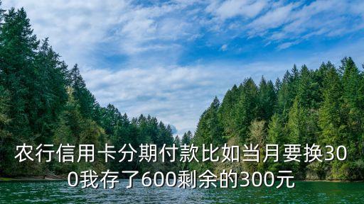 農(nóng)行信用卡分期付款比如當月要換300我存了600剩余的300元