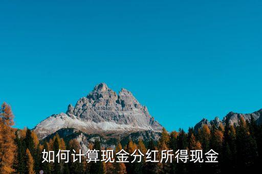 如何計算現(xiàn)金分紅所得現(xiàn)金